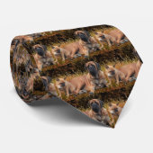 Cravate de Bulldogen (Roulé)
