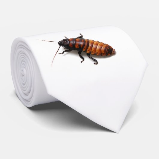 Cravate de cafard (Roulé)