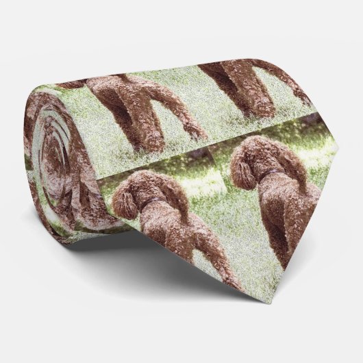 Cravate de caniche de jouet (Roulé)