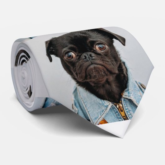 Cravate de carlin (Roulé)