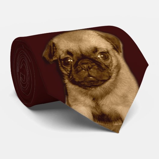 Cravate de carlin (Roulé)