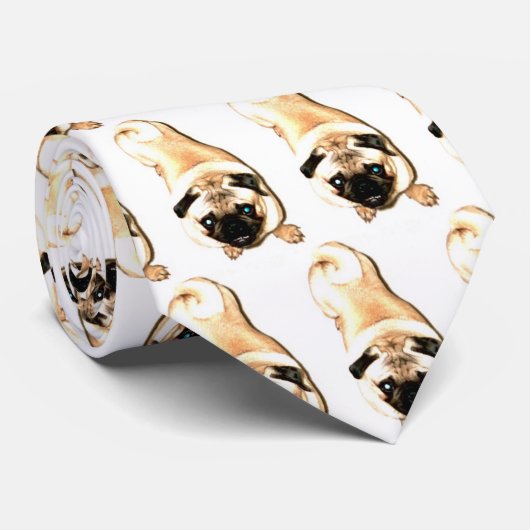 Cravate de carlin de Ziggy ! (Roulé)