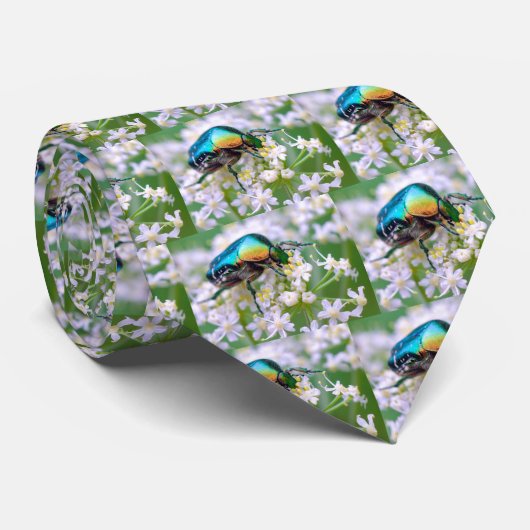 Cravate de Cetonia (Roulé)