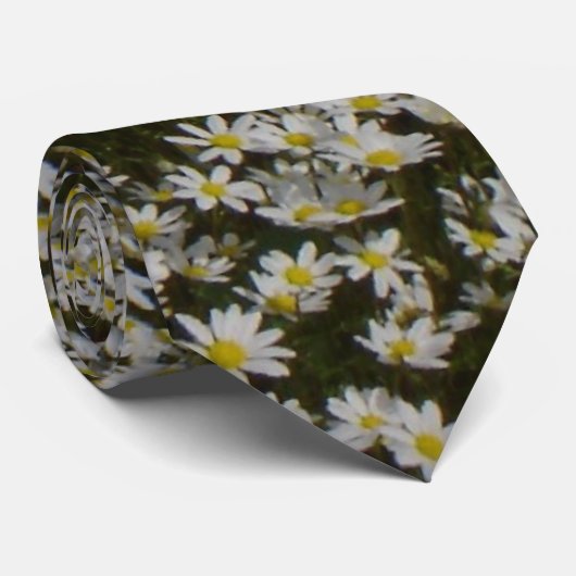 Cravate de champ de marguerite (Roulé)