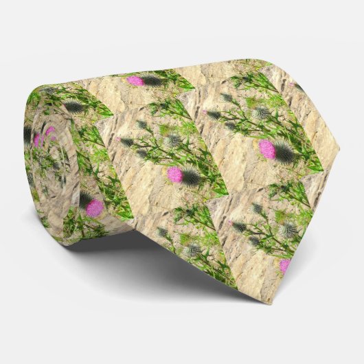 Cravate de chardon (Roulé)