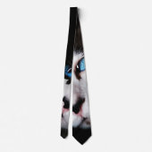 Cravate de chat Blue Eyed Tuxedo (Dos)