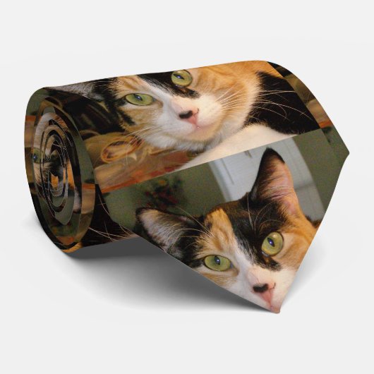 Cravate de chat de calicot (Roulé)