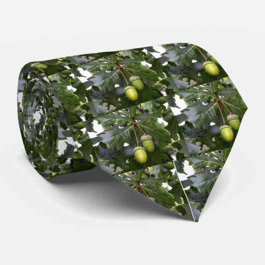 Cravate de chêne (Roulé)