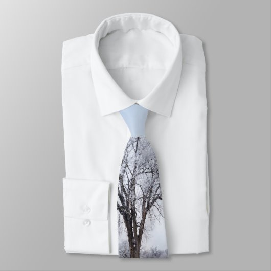 Cravate de chêne d'hiver (Attaché)