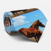 CRAVATE de chevaux du Kansas (Roulé)