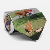 cravate de chien (Roulé)