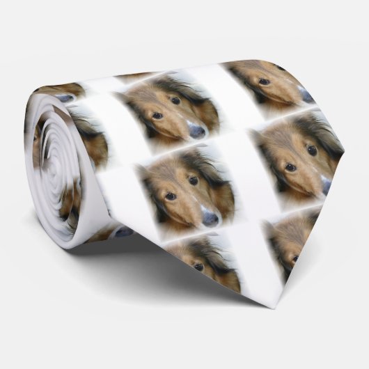 Cravate de chien de colley (Roulé)