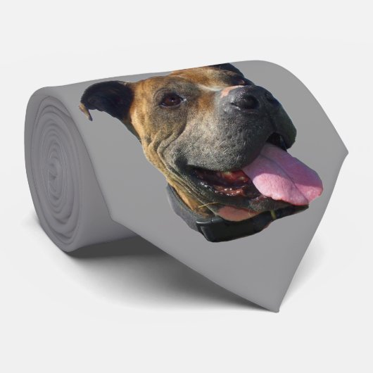 Cravate de chien de Pitbull (Roulé)