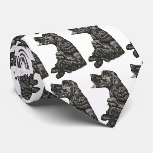 Cravate de chien espagnol (Roulé)