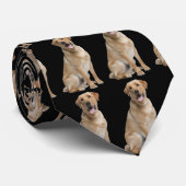 Cravate de chien jaune du Labrador (Roulé)