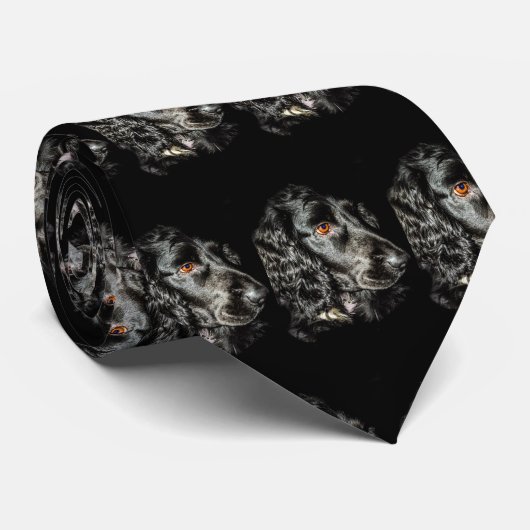 Cravate de chien noir (Roulé)