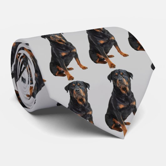 Cravate de chien Rottweiler (Roulé)