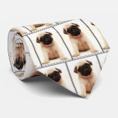 Cravate de chiot de carlin (Roulé)