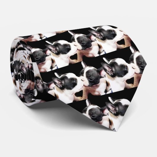Cravate de chiots de bouledogue français (Roulé)