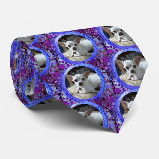 Cravate de chiwawa (Roulé)