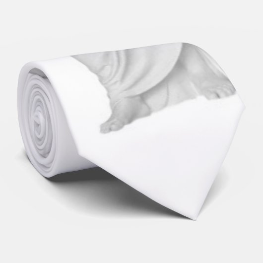 Cravate de Christus (Roulé)