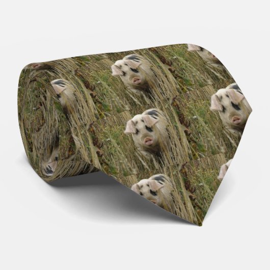 Cravate de cochon mignonne (Roulé)