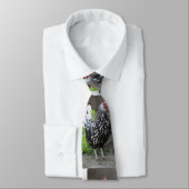 Cravate de coq (Attaché)