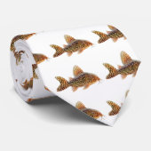 Cravate de Corydoras Sterbai (Roulé)