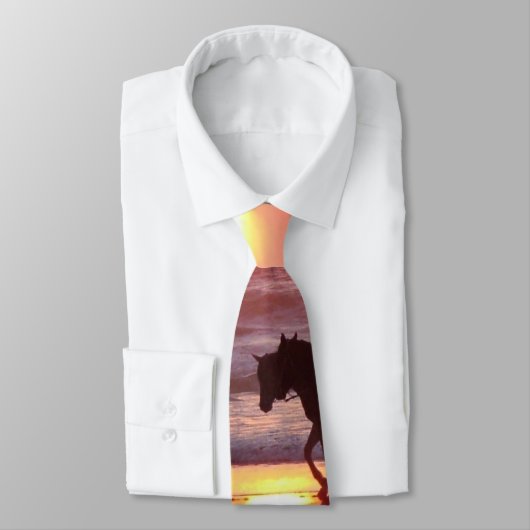 Cravate de coucher du soleil de cheval (Attaché)