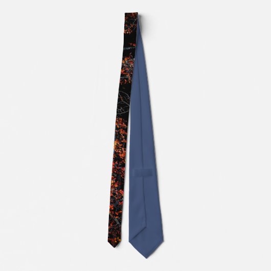 Cravate de couleurs d'automne (Dos)
