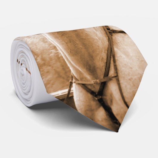 Cravate de course d'attelages (Roulé)