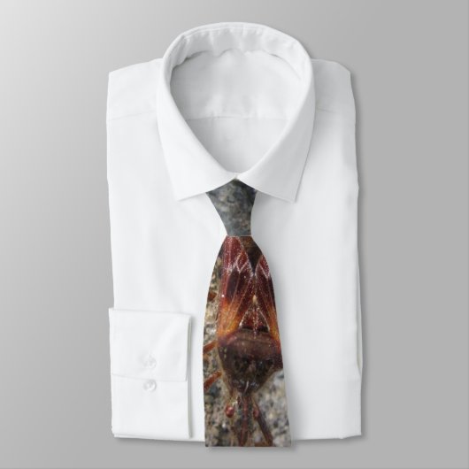 Cravate de ~ d'insecte d'assassin (Attaché)
