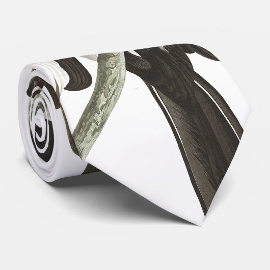 Cravate de faune d'Audubon d'oiseaux de pie (Roulé)