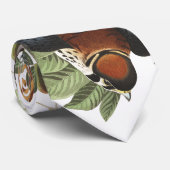 Cravate de faune de Raptor Audubon d'oiseaux de (Roulé)