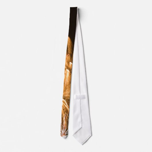 Cravate de feux d'artifice (Dos)