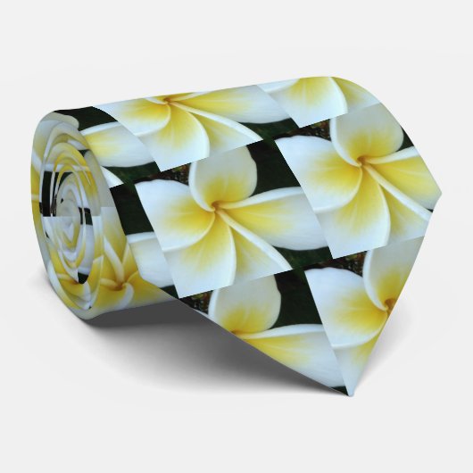 Cravate de fleur de Frangipani (Roulé)