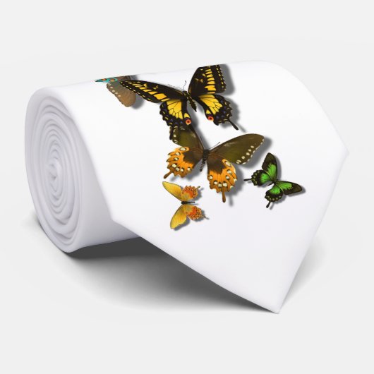 Cravate de Flutterby #2 (Roulé)