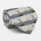 Cravate de Fox (Roulé)