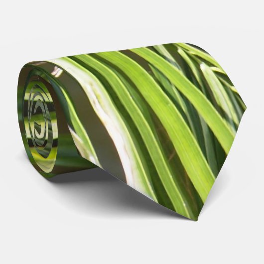 Cravate de frondes de palmier (Roulé)