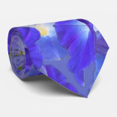 Cravate de gloire du matin (Roulé)