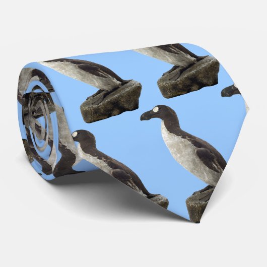 Cravate de grand pingouin (Roulé)