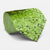 Cravate de grenouille (Roulé)