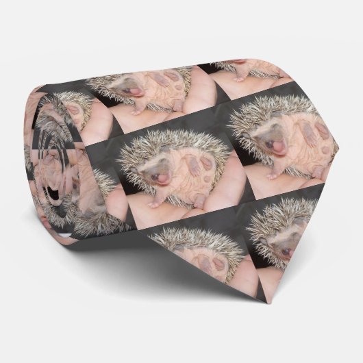 Cravate de hérisson de bébé (Roulé)