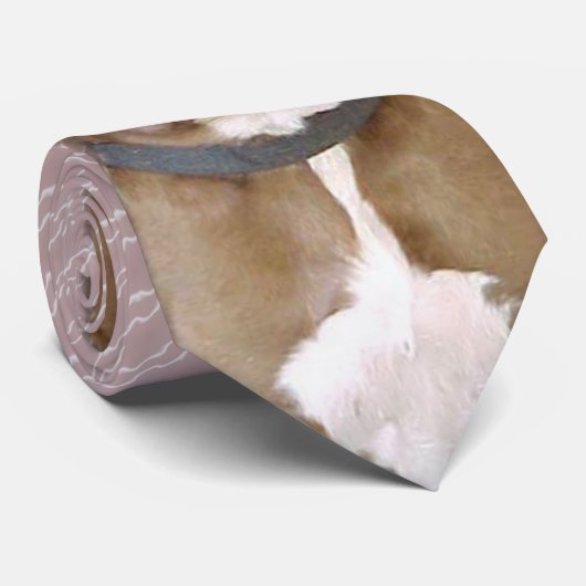 Cravate de Hershey (Roulé)