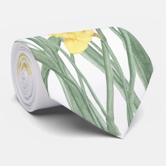 Cravate de jonquille aquarelle (Roulé)