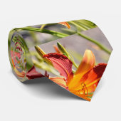 Cravate de jour orange (Roulé)