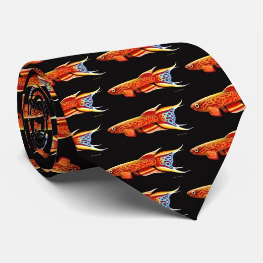 Cravate de Killifish d'Aphyosemion Australe (Roulé)