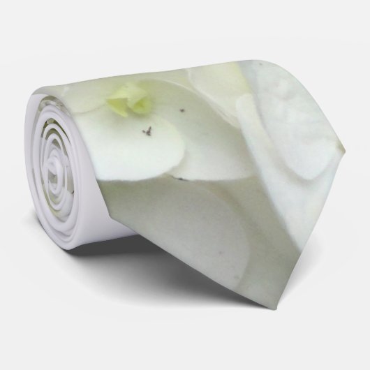 Cravate de la chambre à fleurs d'Hydrangea (Roulé)