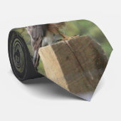 Cravate de la faucille de Cooper (Roulé)