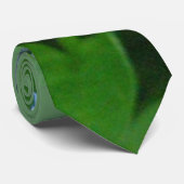 Cravate de la jacinthe des bois 06 (Roulé)